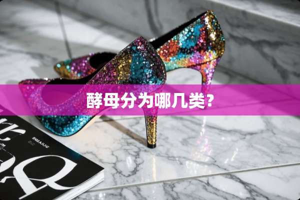 酵母分为哪几类？