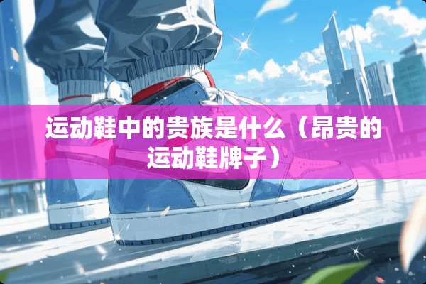 运动鞋中的贵族是什么（昂贵的运动鞋牌子）
