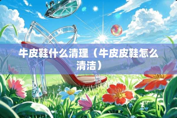 牛皮鞋什么清理（牛皮皮鞋怎么清洁）