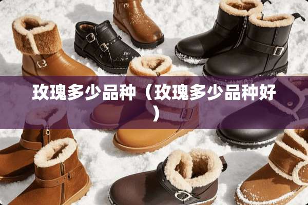 玫瑰多少品种（玫瑰多少品种好）