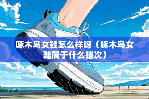 啄木鸟女鞋怎么样呀（啄木鸟女鞋属于什么档次）