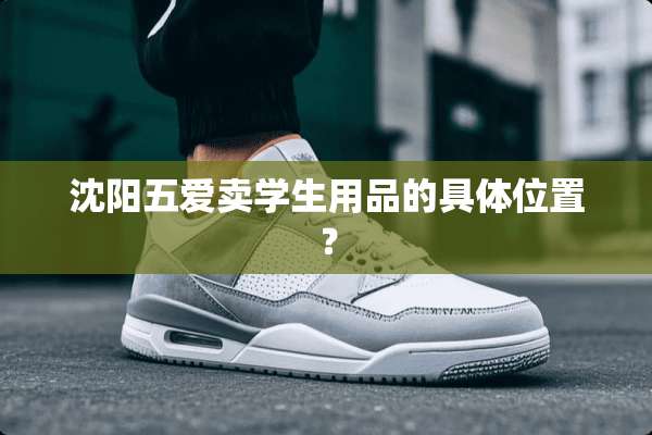沈阳五爱卖学生用品的具**置？