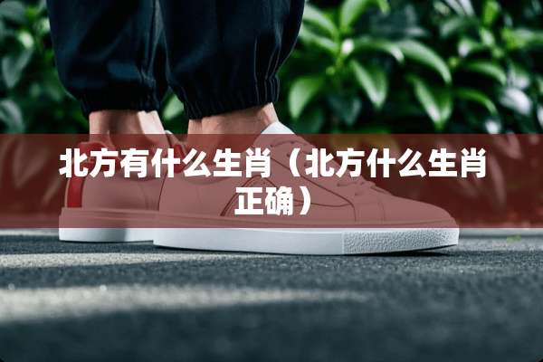 北方有什么生肖（北方什么生肖正确）