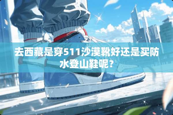 去西藏是穿511沙漠靴好还是买防水登山鞋呢？