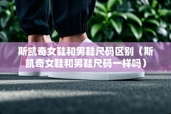 斯凯奇女鞋和男鞋尺码区别（斯凯奇女鞋和男鞋尺码一样吗）