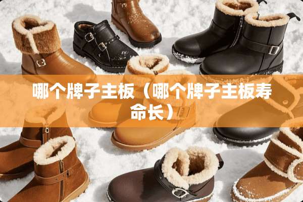 哪个牌子主板（哪个牌子主板寿命长）