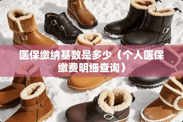 医保缴纳基数是多少（个人医保缴费明细查询）