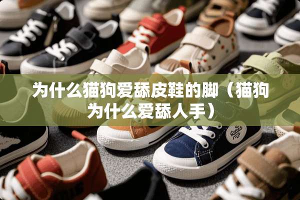 为什么猫狗爱舔皮鞋的脚（猫狗为什么爱舔人手）