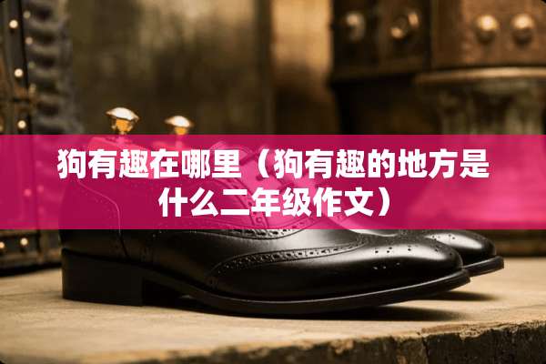 狗有趣在哪里（狗有趣的地方是什么二年级作文）