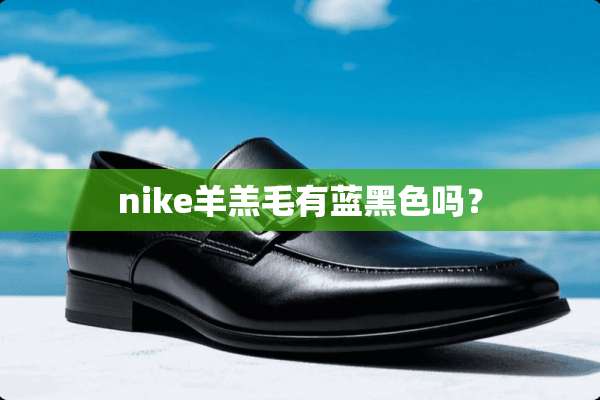 nike羊羔毛有蓝黑色吗？