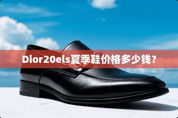 Dior20els夏季鞋价格多少钱？