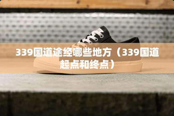 339国道途经哪些地方（339国道起点和终点）
