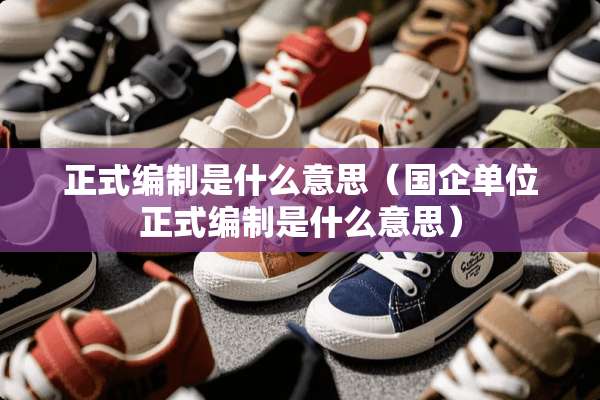 正式编制是什么意思（国企单位正式编制是什么意思）