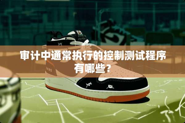 审计中通常执行的控制测试程序有哪些？