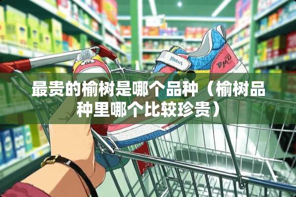 最贵的榆树是哪个品种（榆树品种里哪个比较珍贵）