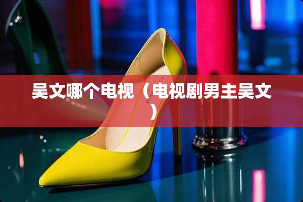 吴文哪个电视（电视剧男主吴文）