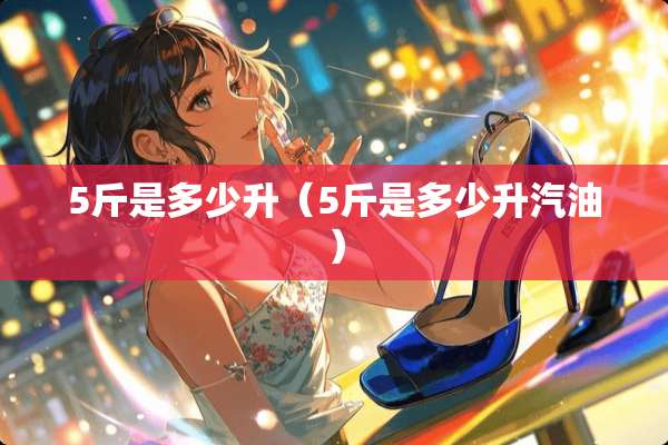 5斤是多少升（5斤是多少升汽油）