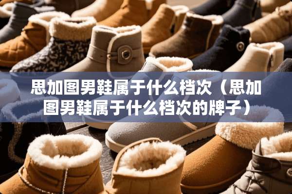 思加图男鞋属于什么档次（思加图男鞋属于什么档次的牌子）