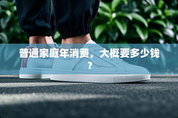 普通家庭年消费，大概要多少钱？