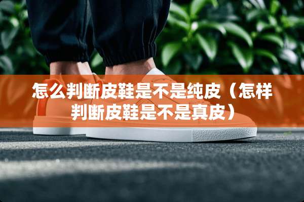 怎么判断皮鞋是不是纯皮（怎样判断皮鞋是不是真皮）