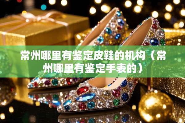 常州哪里有鉴定皮鞋的机构（常州哪里有鉴定手表的）
