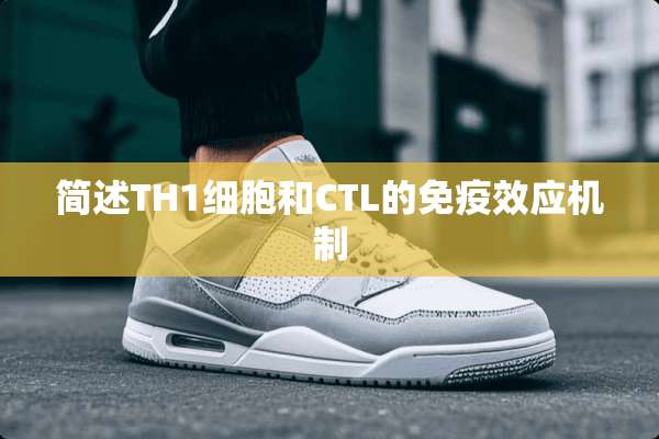 简述TH1细胞和CTL的免疫效应机制