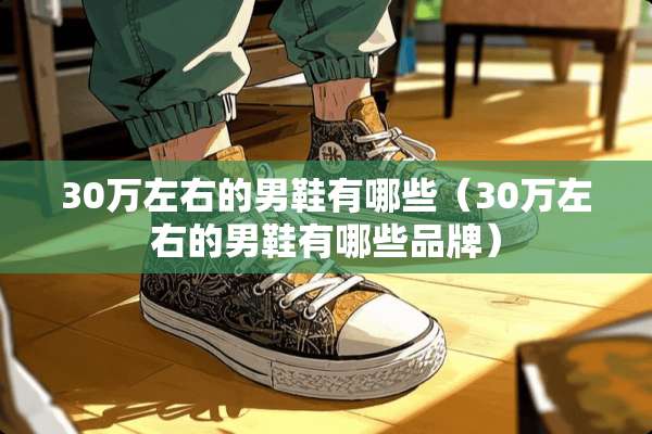 30万左右的男鞋有哪些（30万左右的男鞋有哪些品牌）