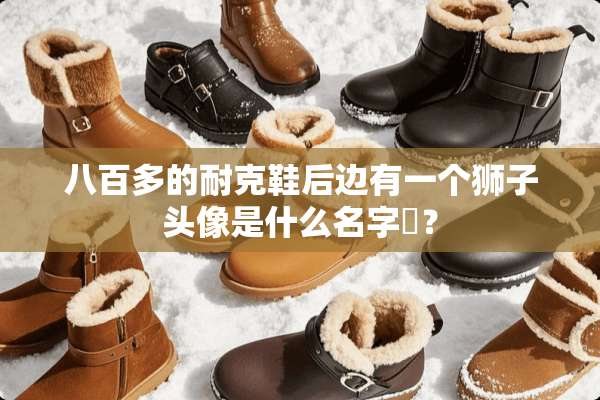 八百多的耐克鞋后边有一个狮子头像是什么名字￼？