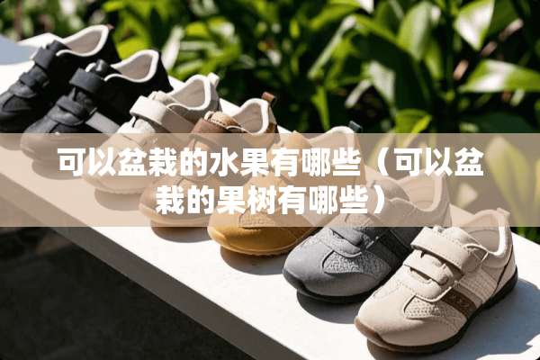 可以盆栽的水果有哪些（可以盆栽的果树有哪些）