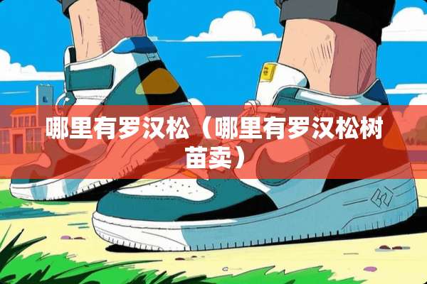 哪里有罗汉松（哪里有罗汉松树苗卖）