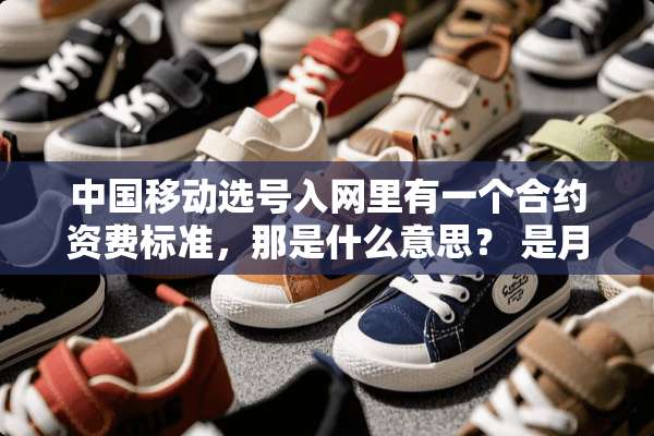 中国移动选号入网里有一个合约资费标准，那是什么意思？ 是月租还是