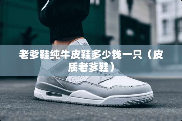 老爹鞋纯牛皮鞋多少钱一只（皮质老爹鞋）