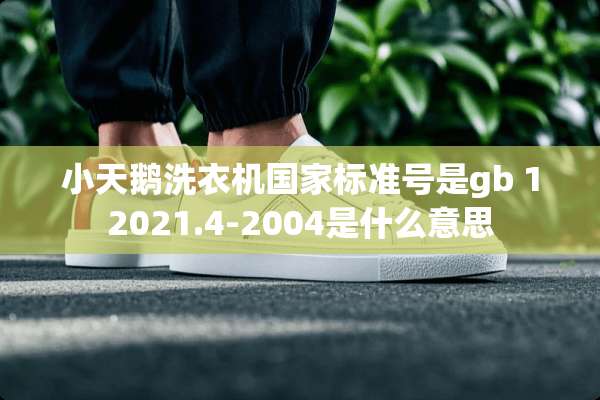 小天鹅洗衣机国家标准号是gb 12021.4-2004是什么意思