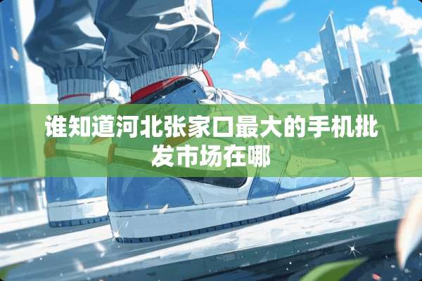 谁知道河北张家口最大的手机批发市场在哪