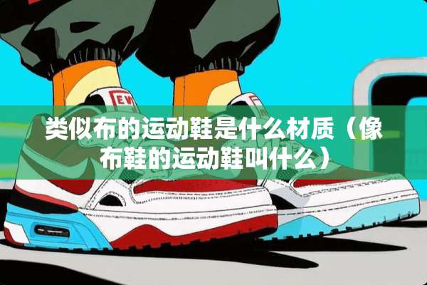 类似布的运动鞋是什么材质（像布鞋的运动鞋叫什么）