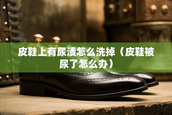 皮鞋上有尿渍怎么洗掉（皮鞋被尿了怎么办）