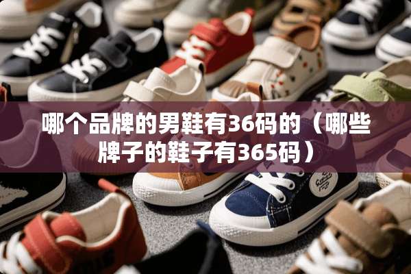 哪个品牌的男鞋有36码的（哪些牌子的鞋子有365码）