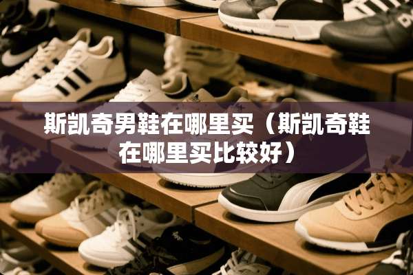 斯凯奇男鞋在哪里买（斯凯奇鞋在哪里买比较好）