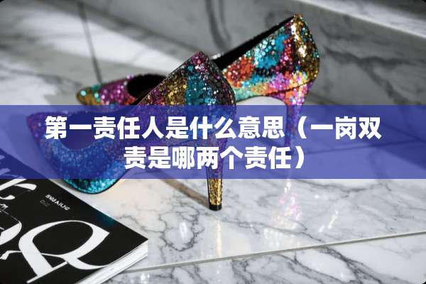 第一责任人是什么意思（一岗双责是哪两个责任）