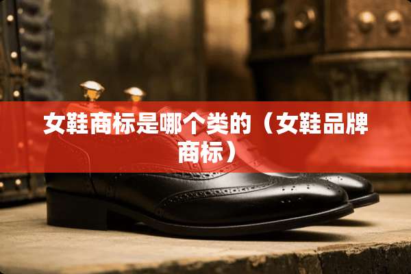 女鞋商标是哪个类的（女鞋品牌商标）
