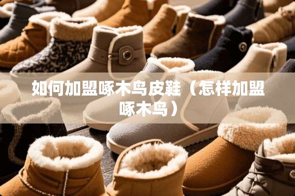 如何加盟啄木鸟皮鞋（怎样加盟啄木鸟）