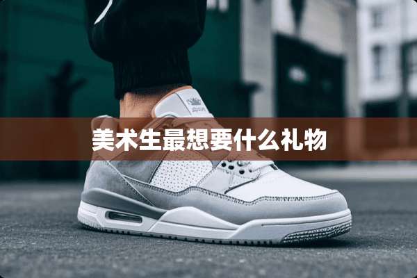 美术生最想要什么礼物