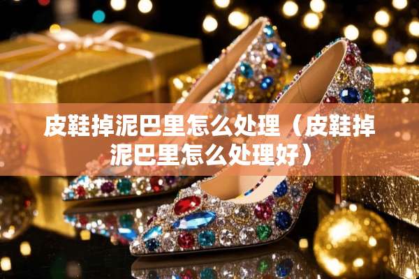 皮鞋掉泥巴里怎么处理（皮鞋掉泥巴里怎么处理好）