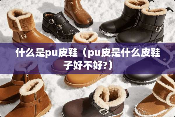 什么是pu皮鞋（pu皮是什么皮鞋子好不好?）