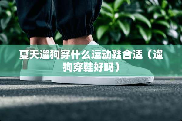 夏天遛狗穿什么运动鞋合适（遛狗穿鞋好吗）
