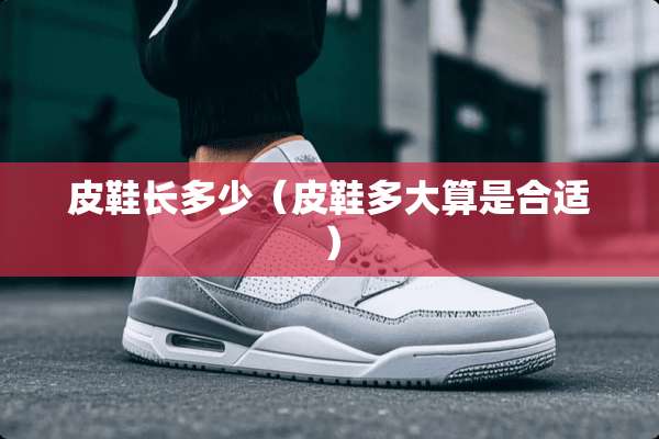 皮鞋长多少（皮鞋多大算是合适）