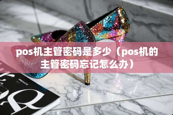 pos机主管密码是多少（pos机的主管密码忘记怎么办）