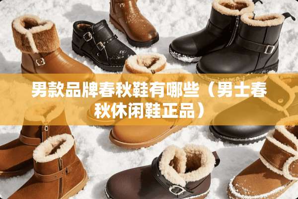 男款品牌春秋鞋有哪些（男士春秋休闲鞋正品）