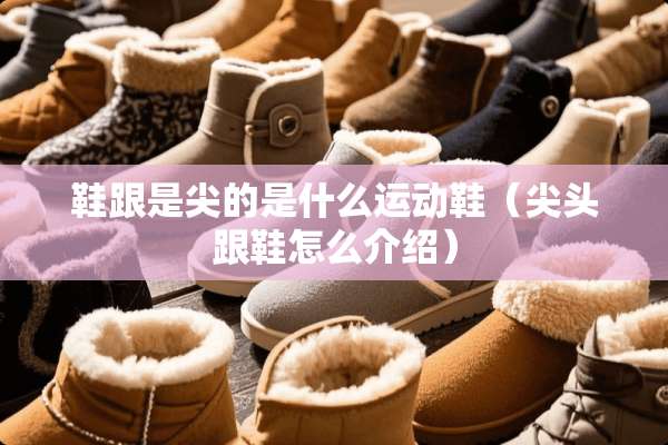 鞋跟是尖的是什么运动鞋（尖头跟鞋怎么介绍）