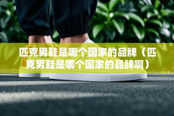 匹克男鞋是哪个国家的品牌（匹克男鞋是哪个国家的品牌啊）